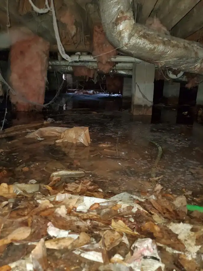 Crawl space flood assessment for Leak Detection & Repair in Carver