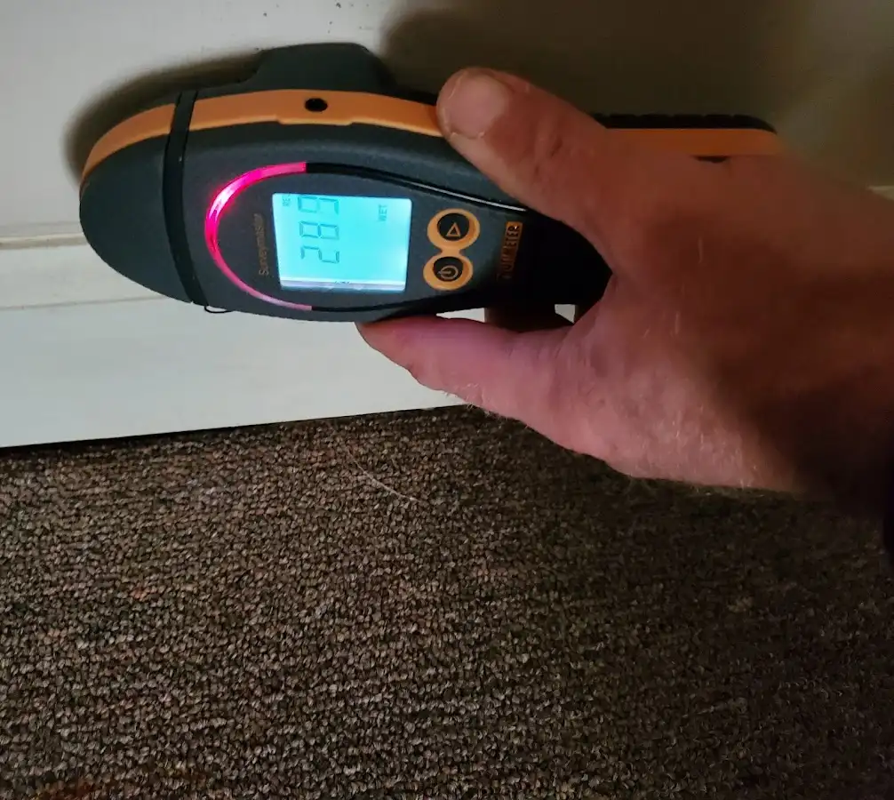Moisture detection at baseboard during Burst Pipe Cleanup in Carver
